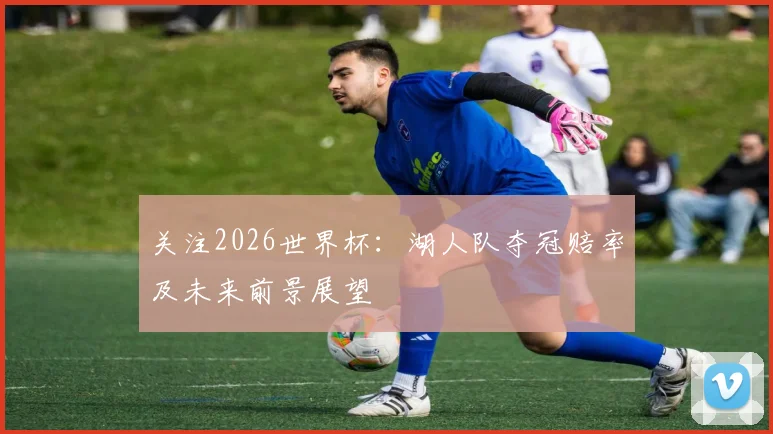 关注2026世界杯：湖人队夺冠赔率及未来前景展望